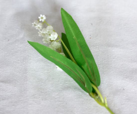 Afbeeldingen van Kunst Lelie van dalen bloem